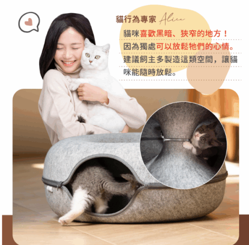 Dr.donut🍩貓咪探索隧道窩：圖片 7