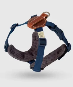 EXPLORE 胸背帶(狗專用)